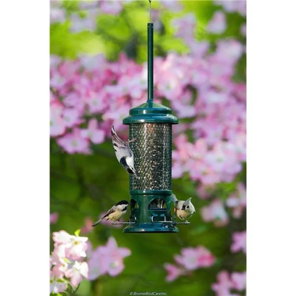 Squirrel Buster Standard Squirrel-proof Bird Feeder w/4 Metal Perches, 1.3-pound